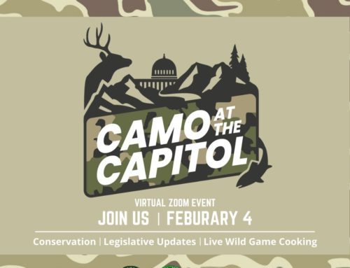 Camo at the Capitol! Feb 4th – ZOOM