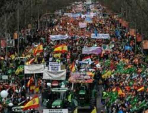 Hunters, Bullfighters and Farmers stage mass protest in Madrid