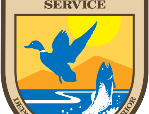 US Fish and Wildlife Service to propose opening 2 refuges to hunting and fishing