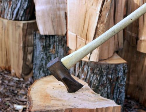 Firewood Permits and Cutting Season